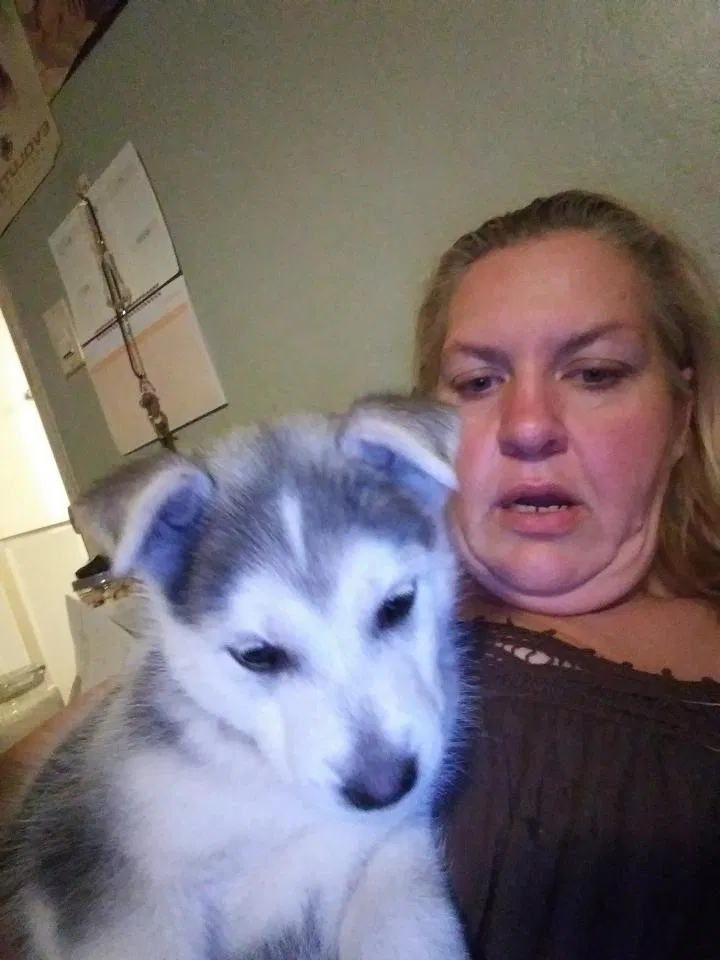 Lost dog in Bakersfield, CA, 93306