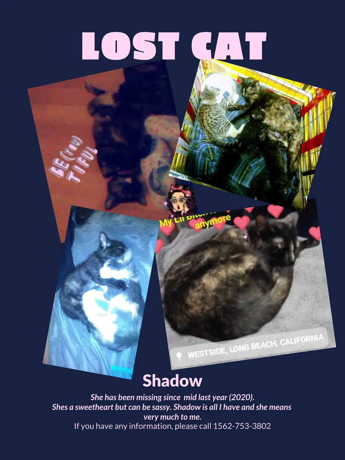 Lost cat in Long Beach, CA, 90810