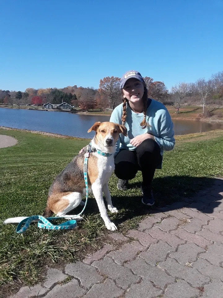 Lost dog in Vandergrift, PA, 15690