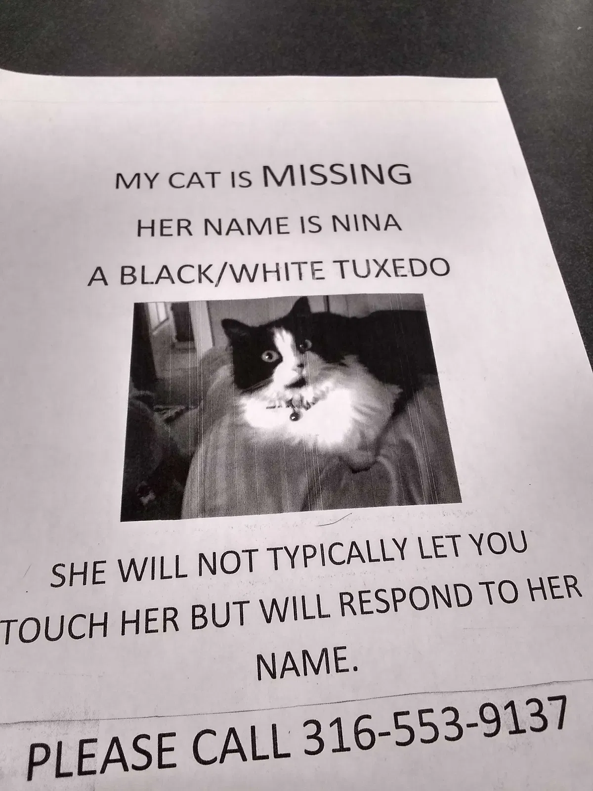 Lost cat in Wichita, KS, 67207