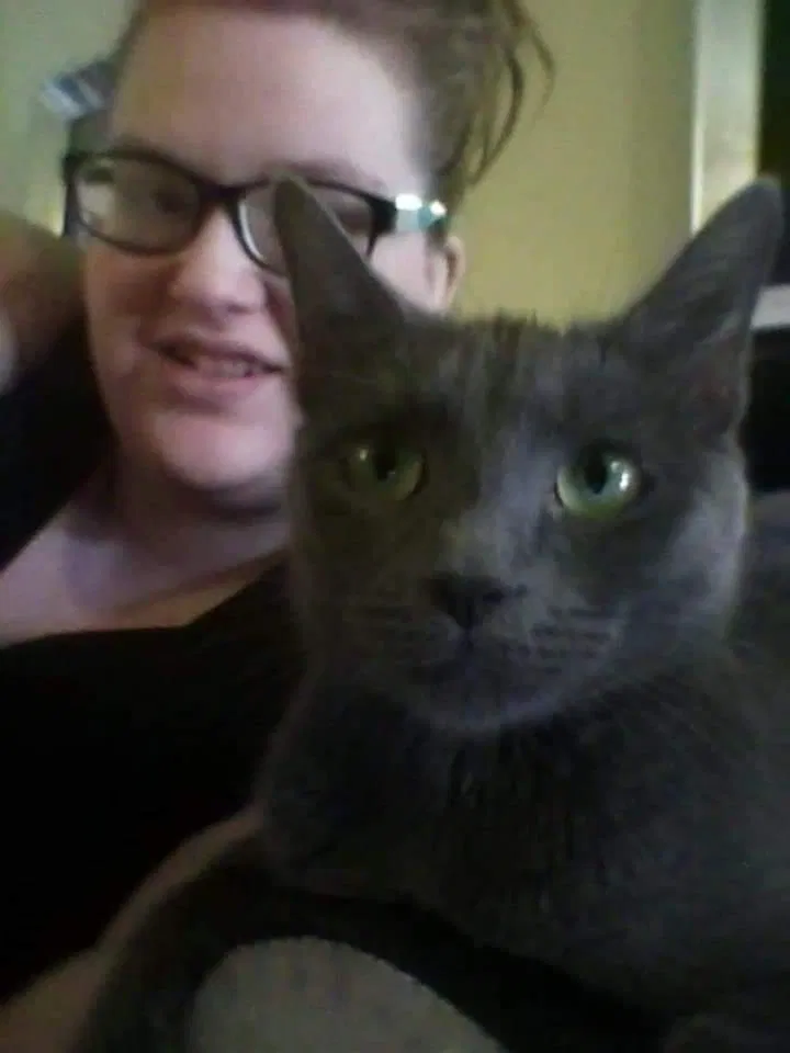 Lost cat in East Peoria, IL, 61611