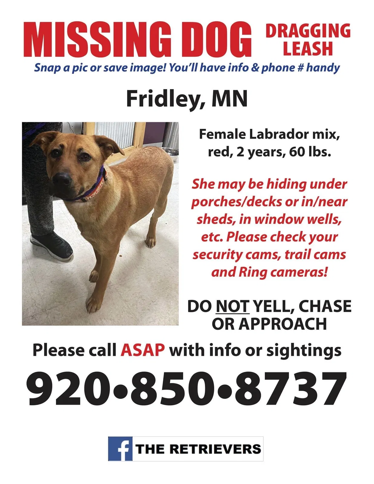 Lost dog in Minneapolis, MN, 55432