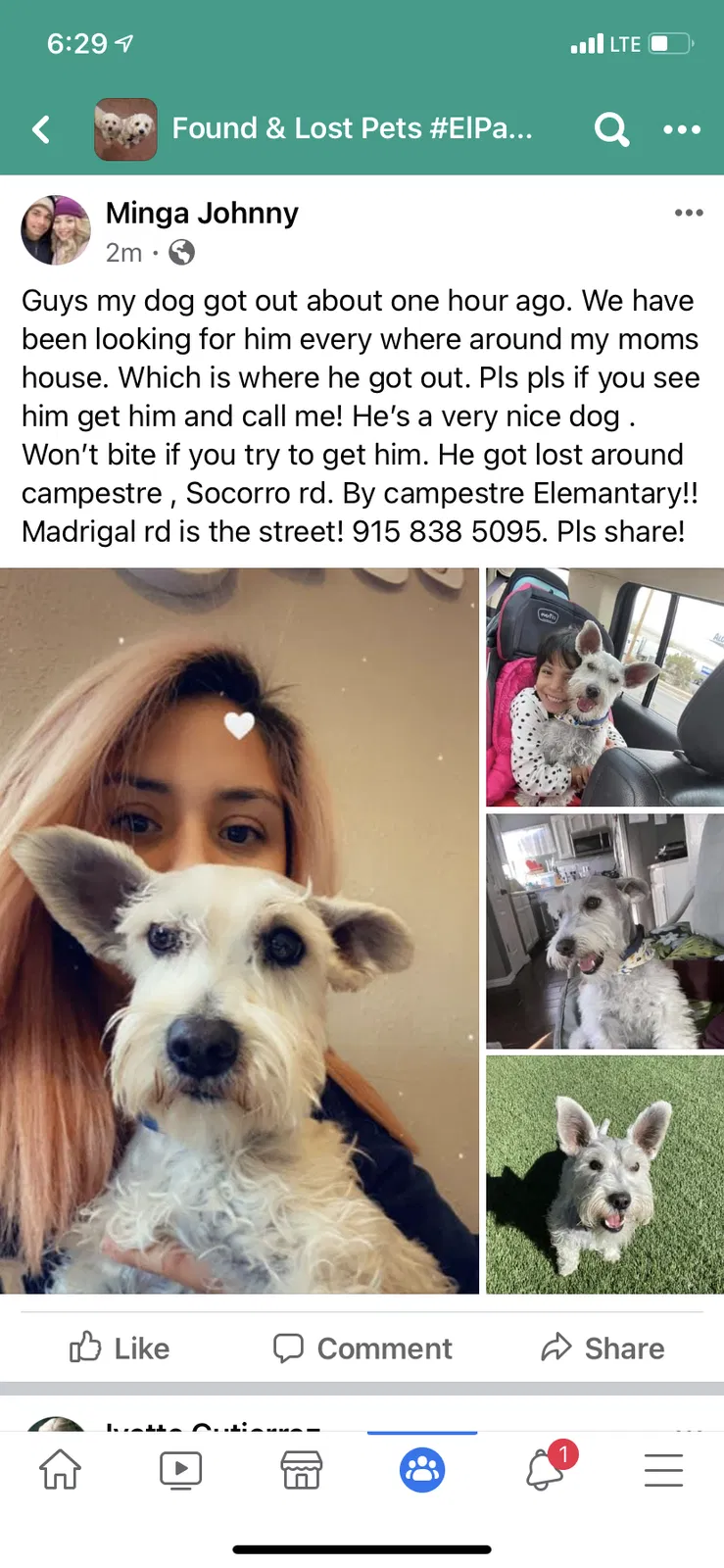 Lost dog in El Paso, TX, 79927