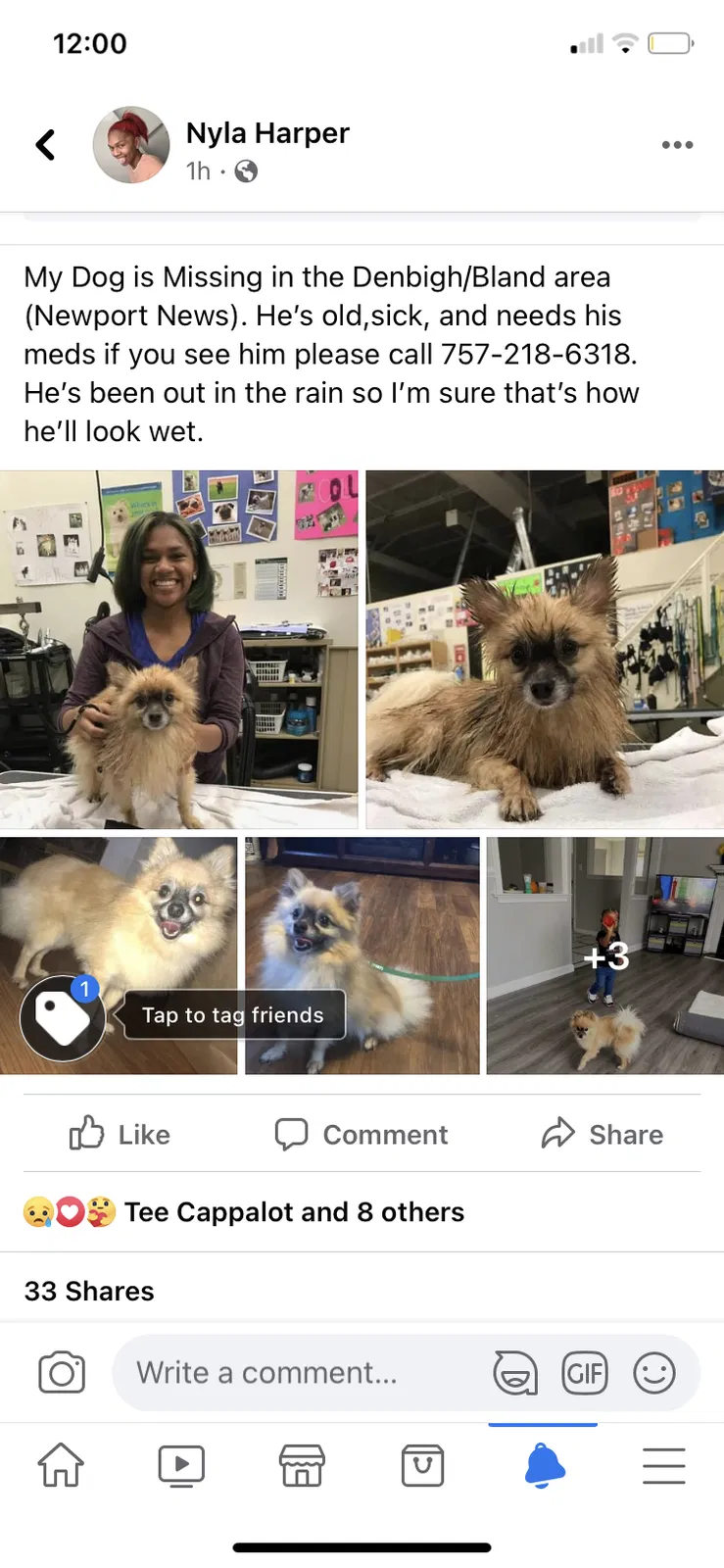 Lost dog in Newport News, VA, 23602
