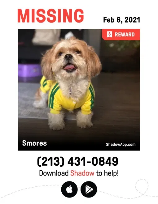 Lost dog in Woodland Hills, CA, 91367