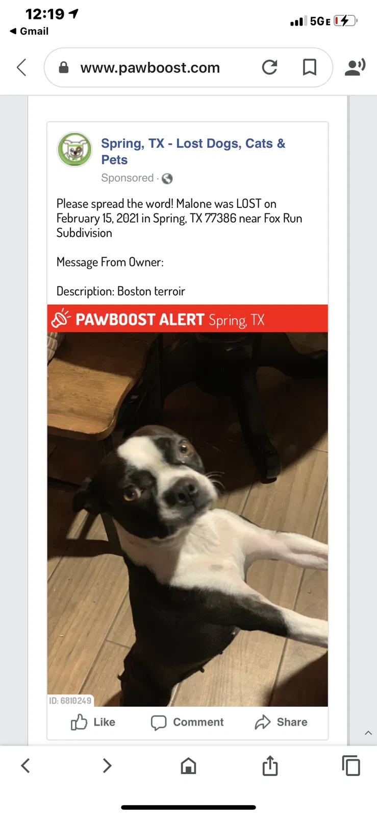 Lost dog in Spring, TX, 77386