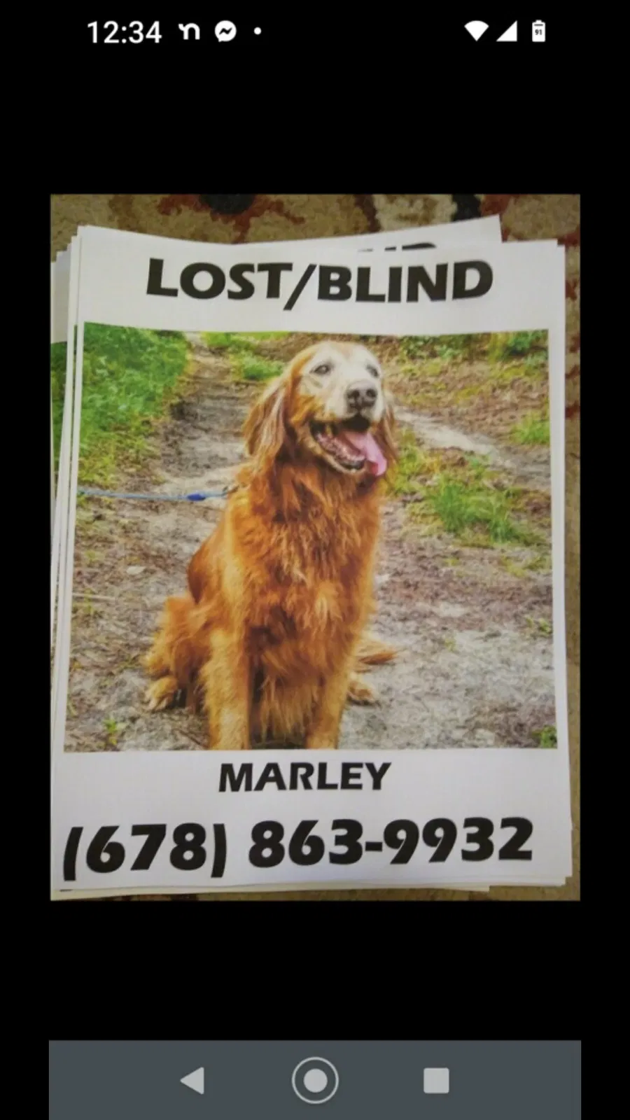 Lost dog in Lawrenceville, GA, 30043