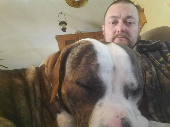 Lost dog in Camden, AR, 71701