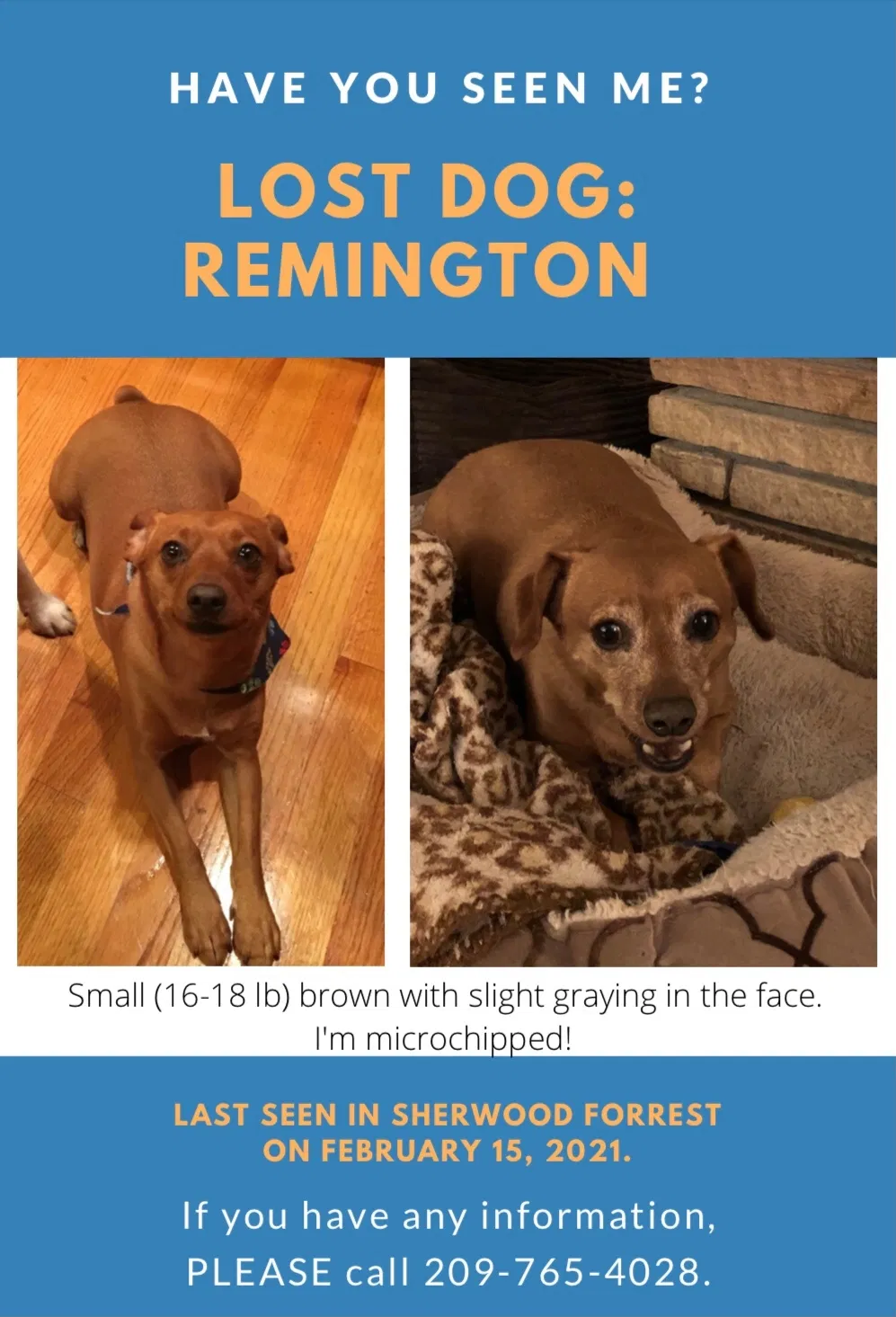Lost dog in Modesto, CA, 95350