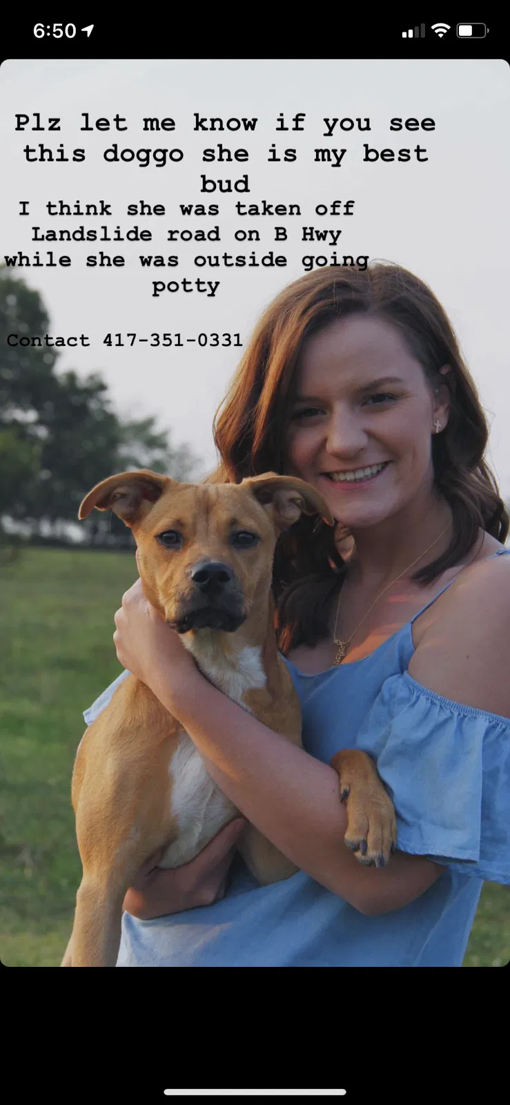 Lost dog in Rogersville, MO, 65742