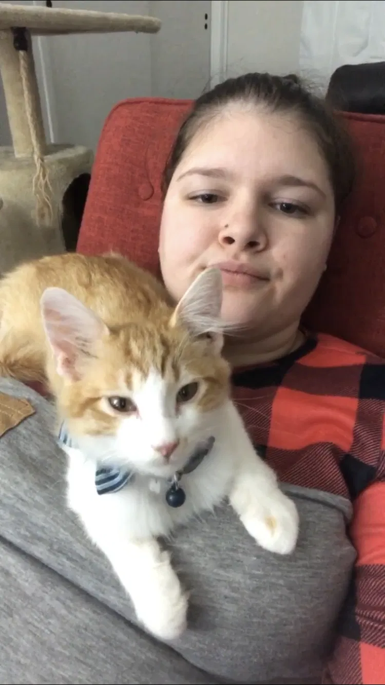 Lost cat in Pleasanton, TX, 78064