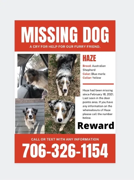 Lost dog in Lagrange, GA, 30240