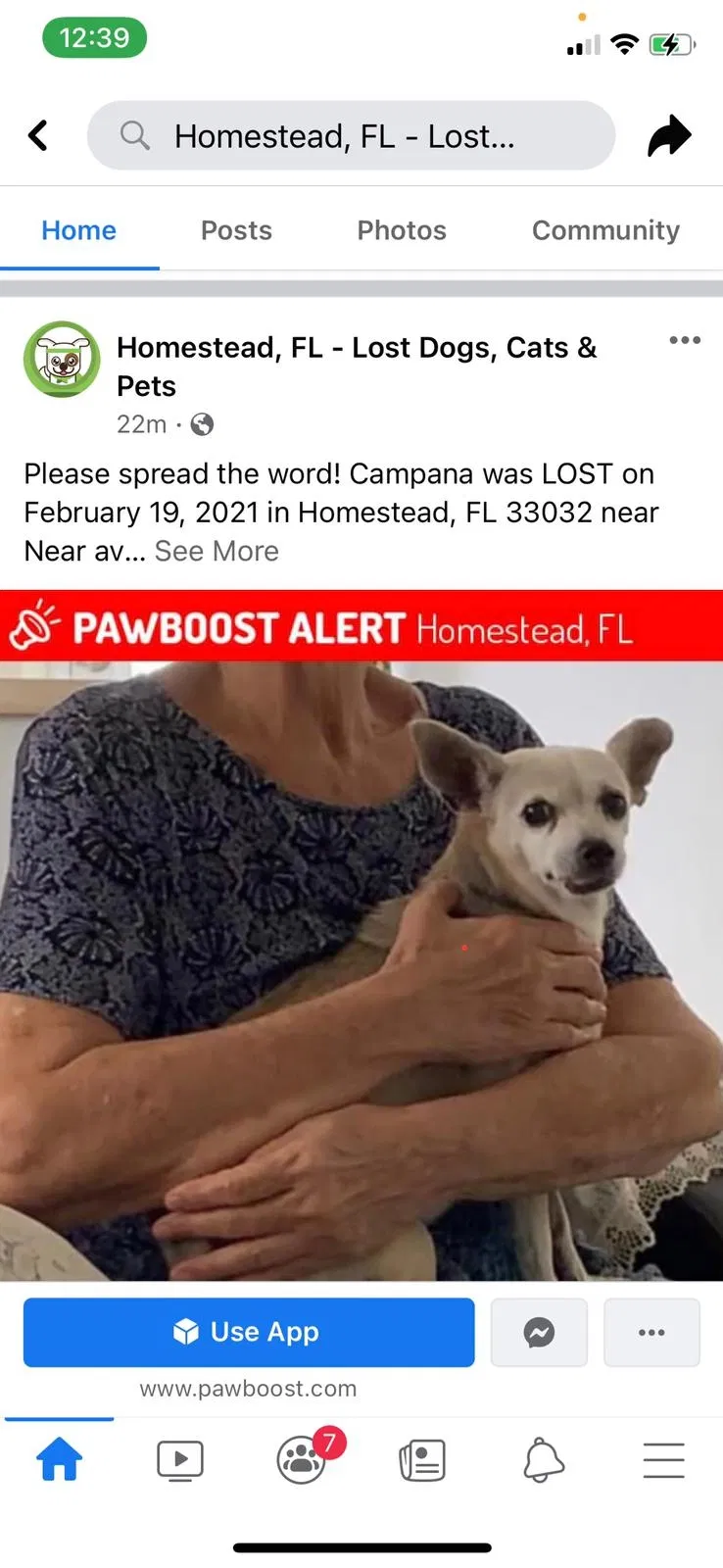 Lost dog in Homestead, FL, 33032