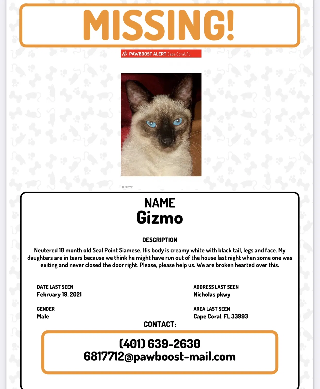 Found cat in Cape Coral, FL, 33993