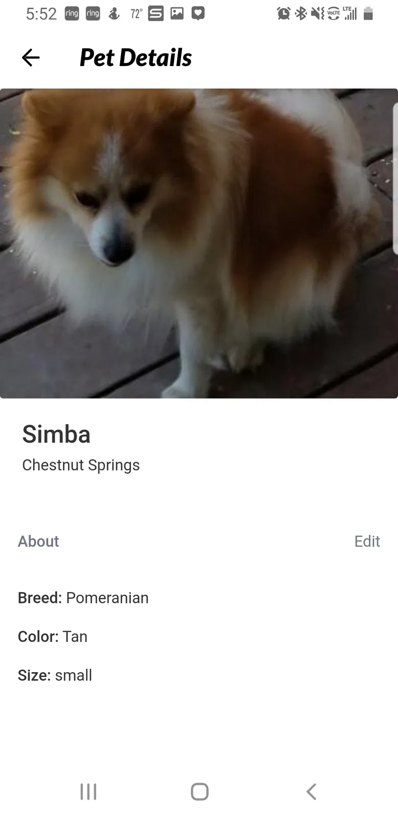 Lost dog in San Antonio, TX, 78245