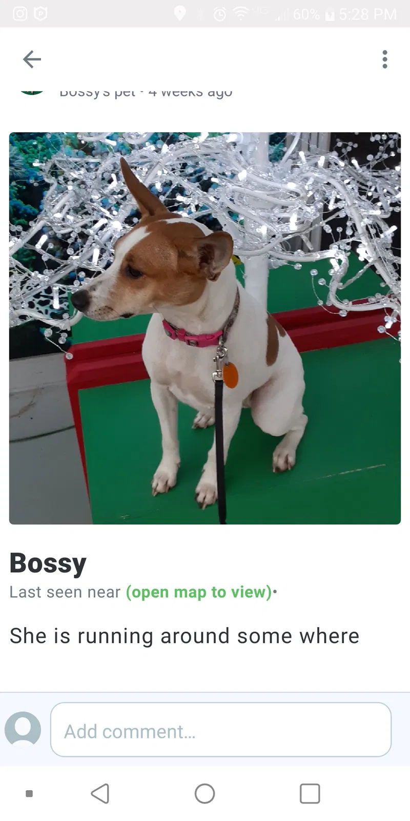 Lost dog in Shreveport, LA, 71118