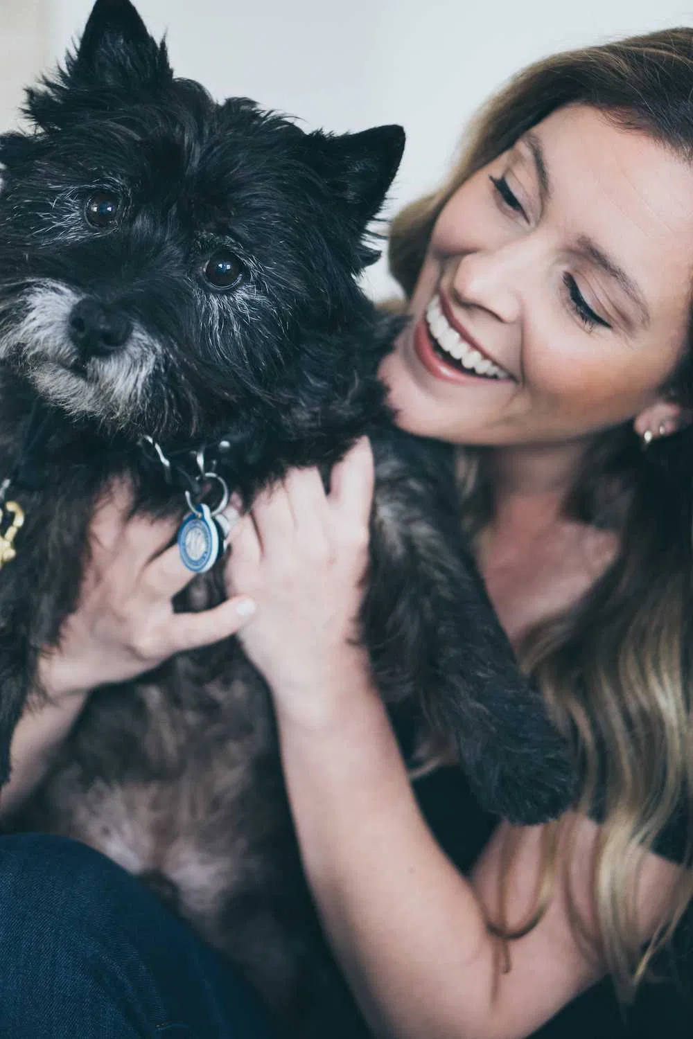 Lost dog in Los Angeles, CA, 90065