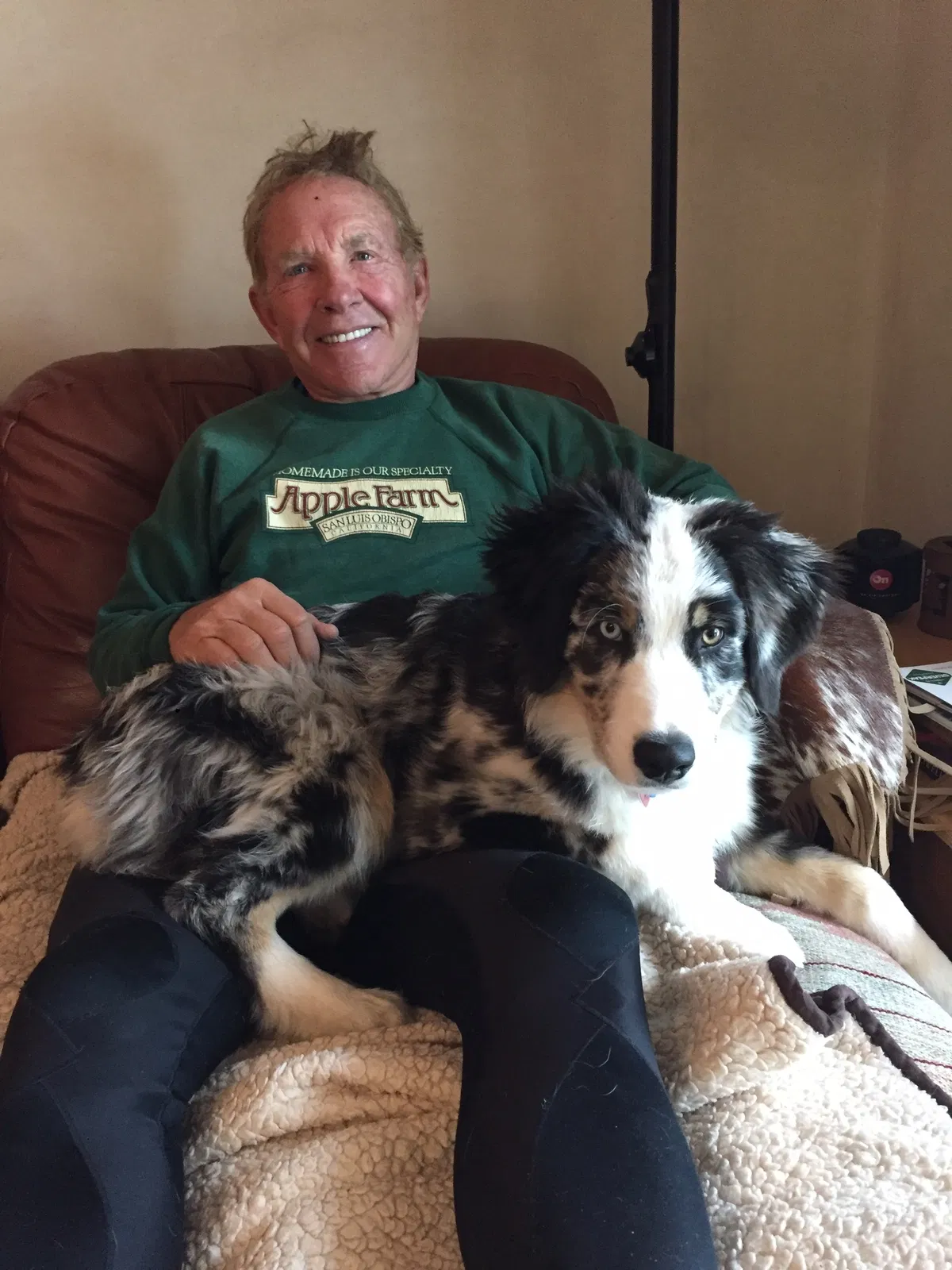 Lost dog in Santa Barbara, CA, 93105