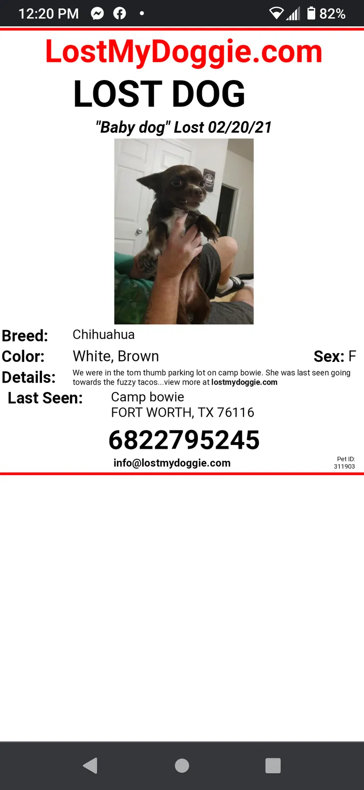 Lost dog in Fort Worth, TX, 76116