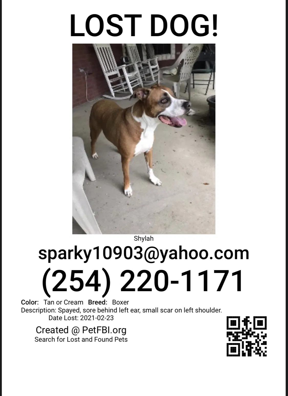 Lost dog in Belton, TX, 76513
