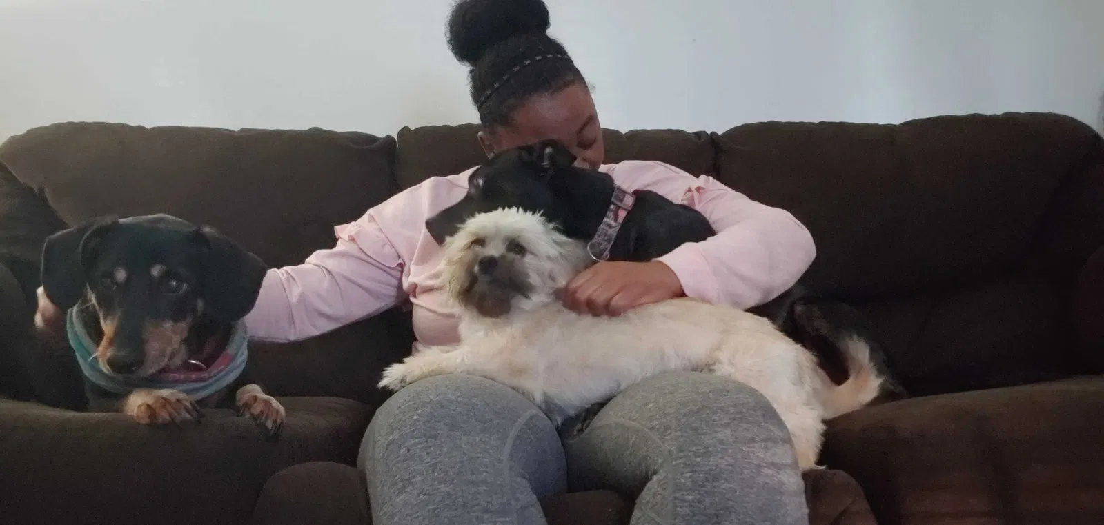 Lost dog in Columbia, SC, 29223