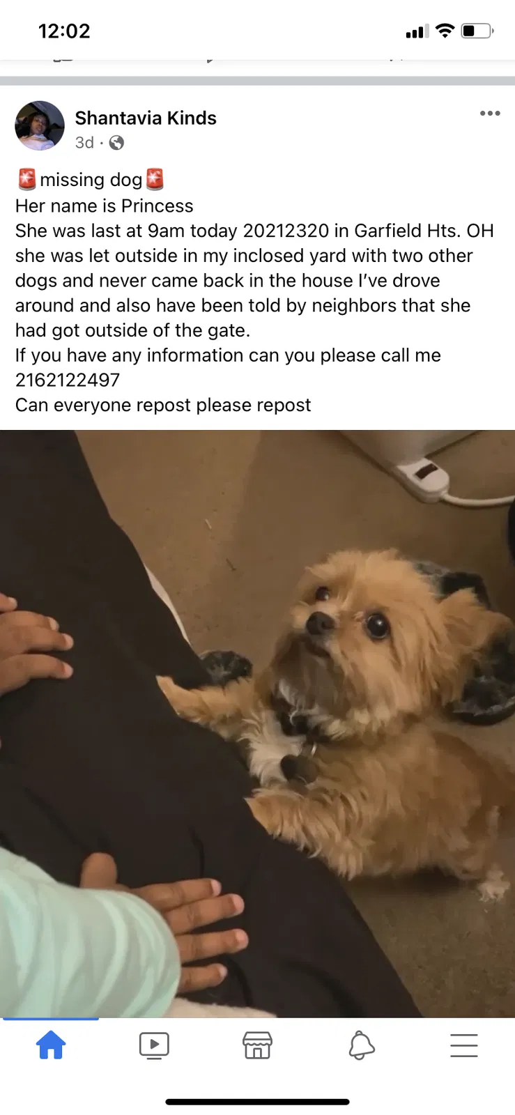 Lost dog in Cleveland, OH, 44125