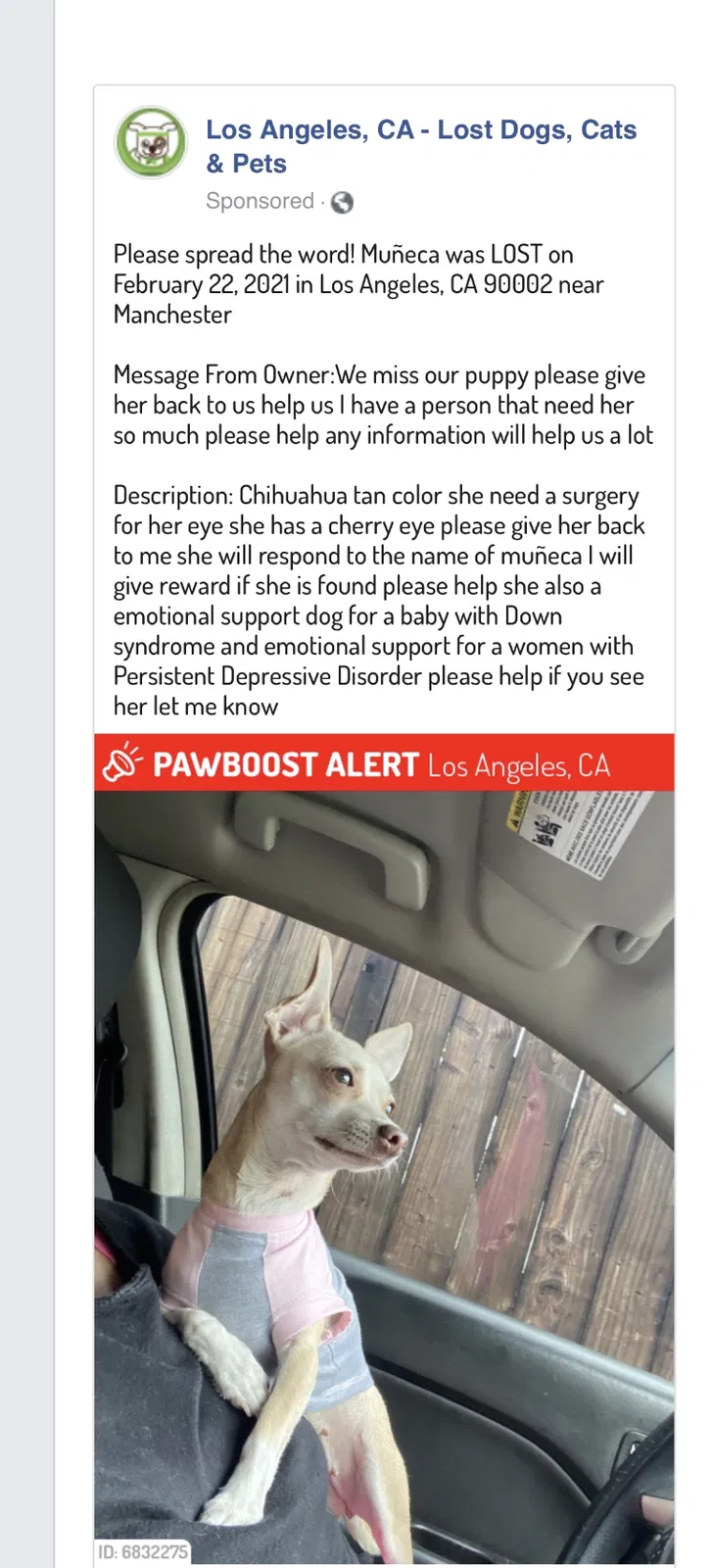 Lost dog in Los Angeles, CA, 90002