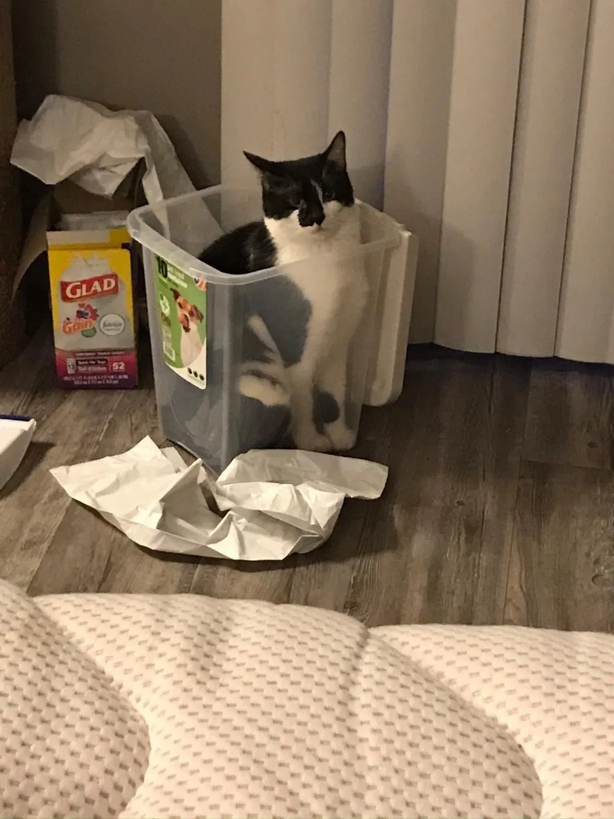 Lost cat in Luther, OK, 73054