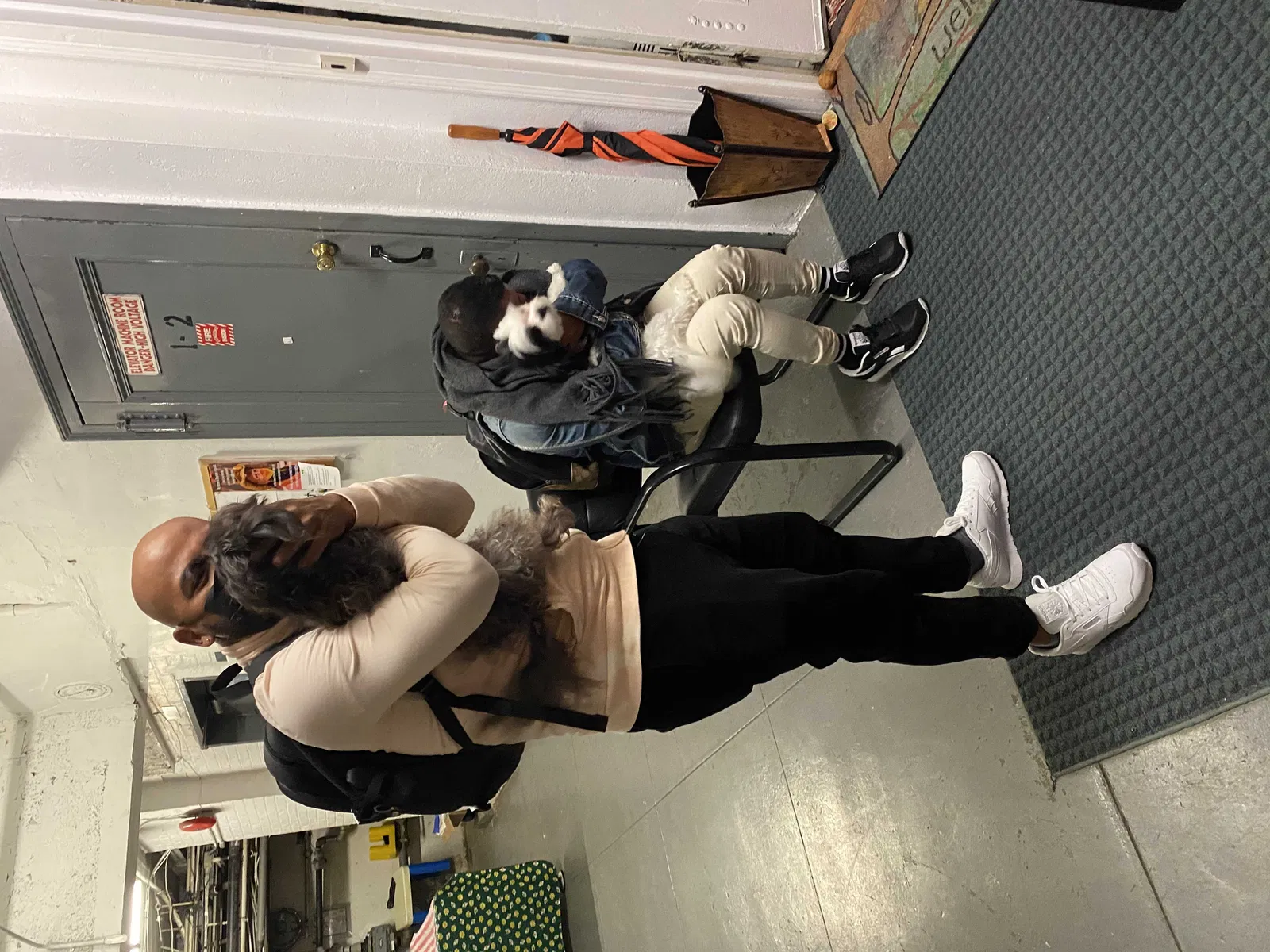 Found dog in Newark, NJ, 7104