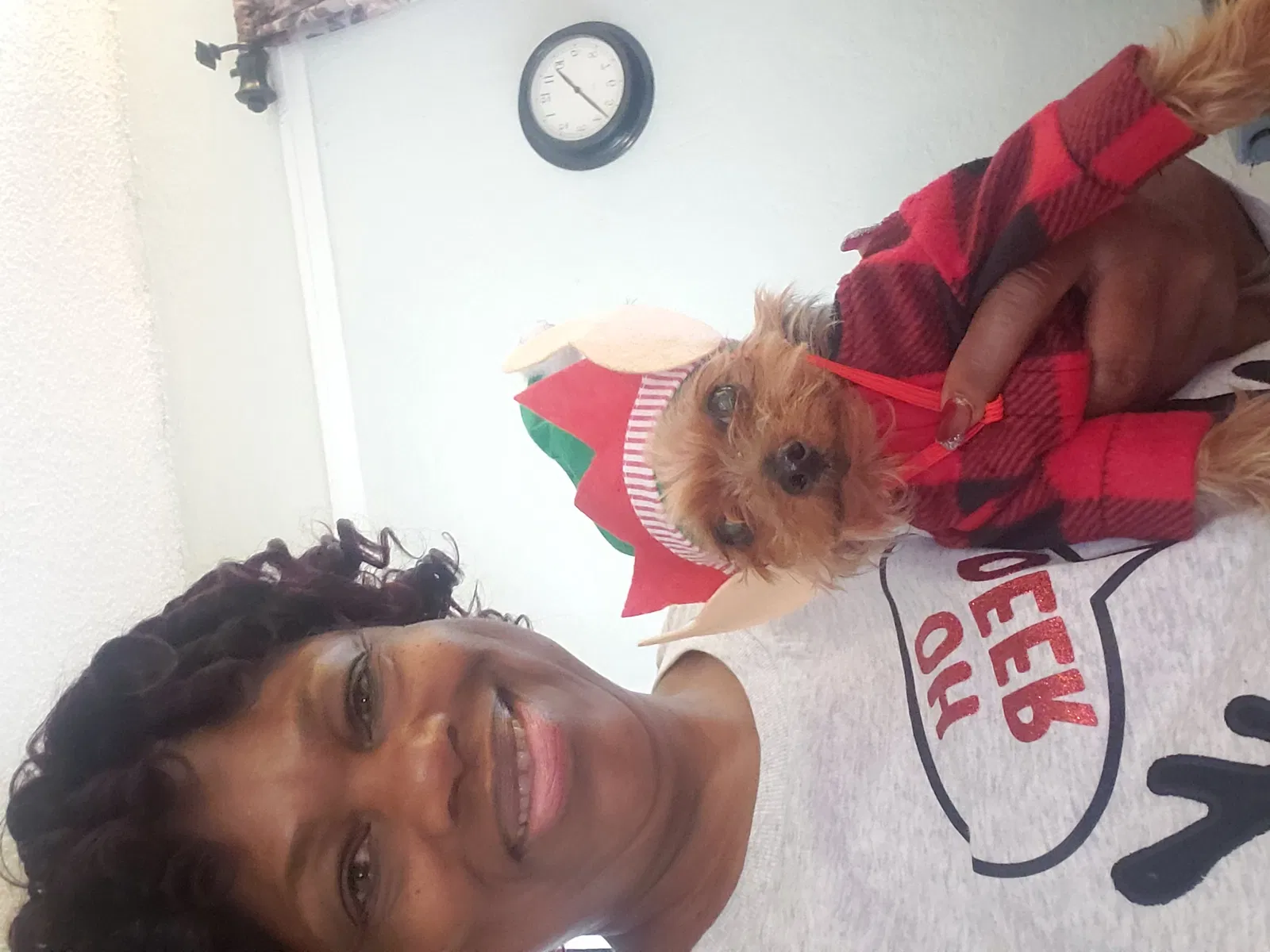 Lost dog in Patterson, CA, 95363