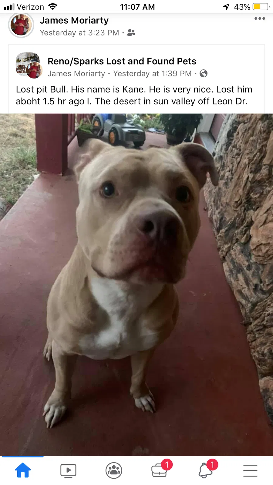 Lost dog in Sun Valley, NV, 89433