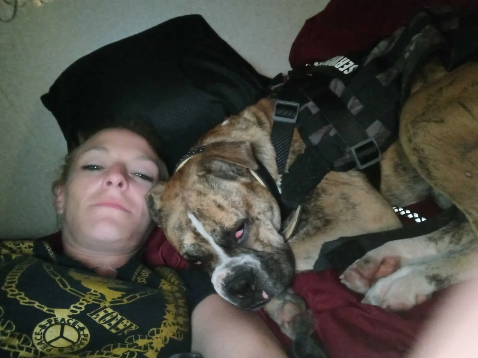 Lost dog in Humble, TX, 77396
