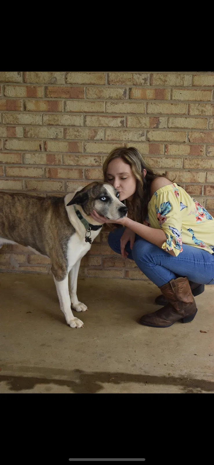 Lost dog in Shelby, NC, 28150
