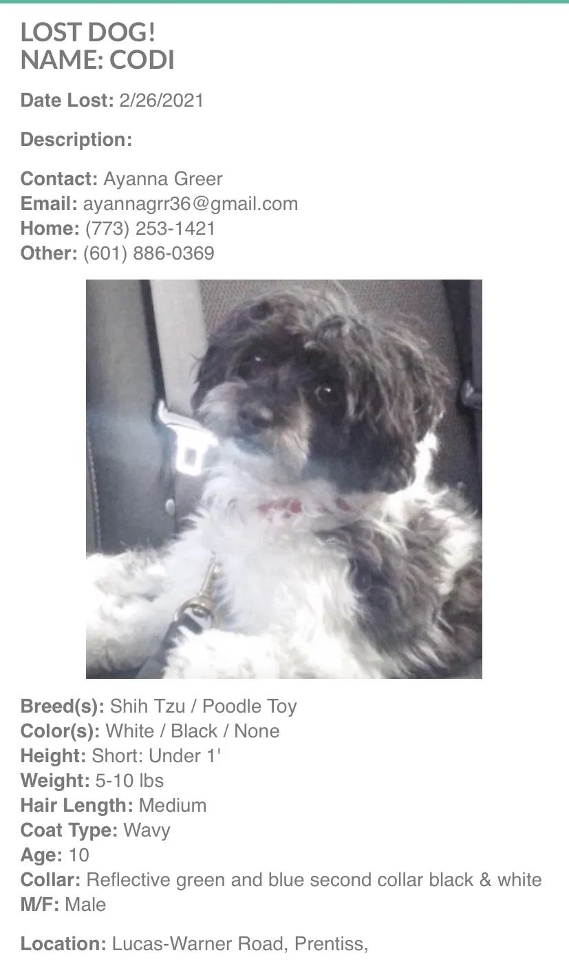 Lost dog in Prentiss, MS, 39474