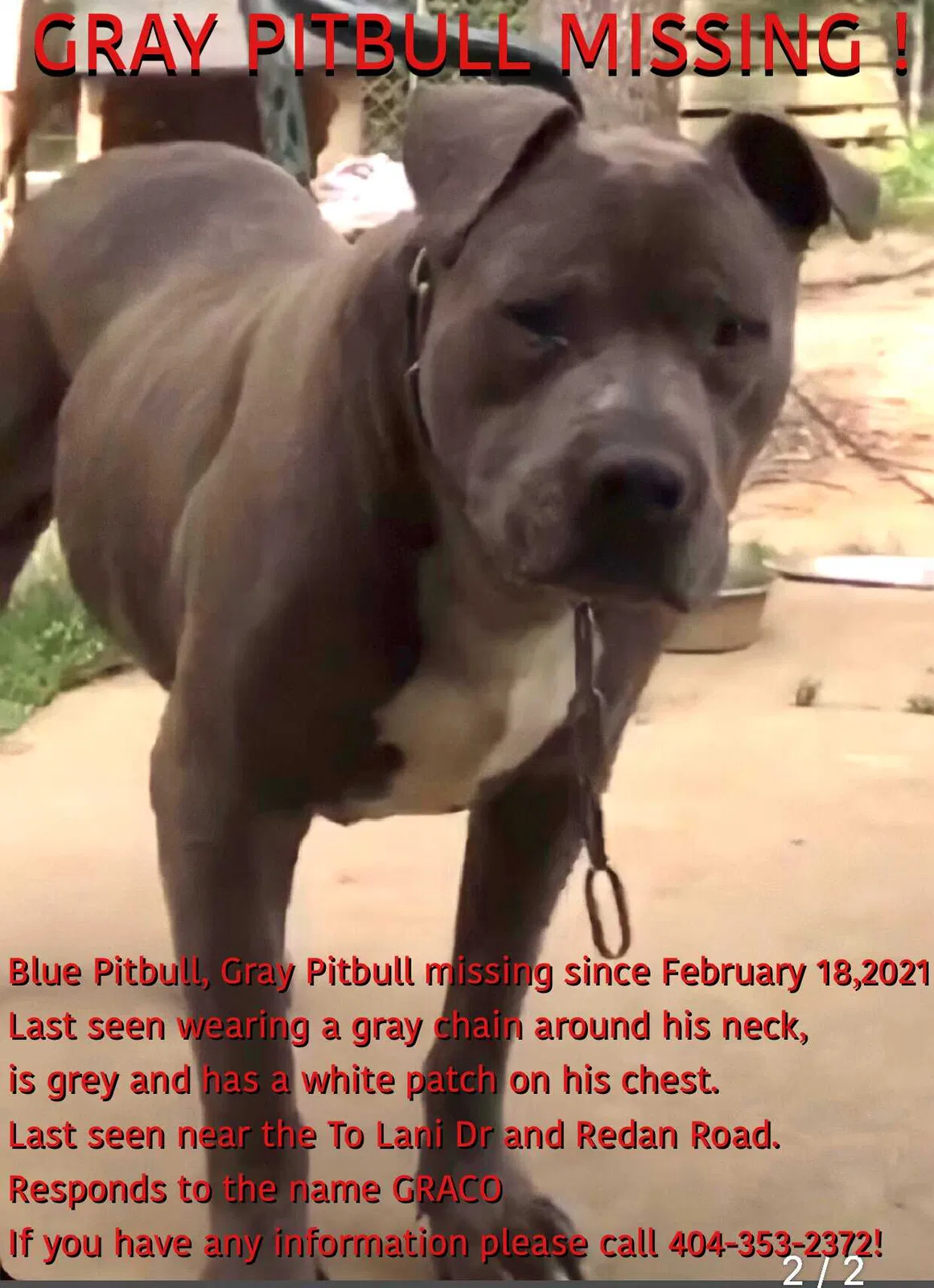 Lost dog in Stone Mountain, GA, 30083