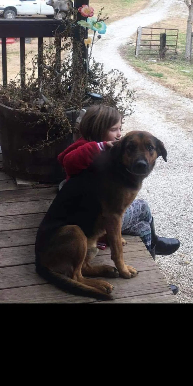 Lost dog in Irvine, KY, 40336