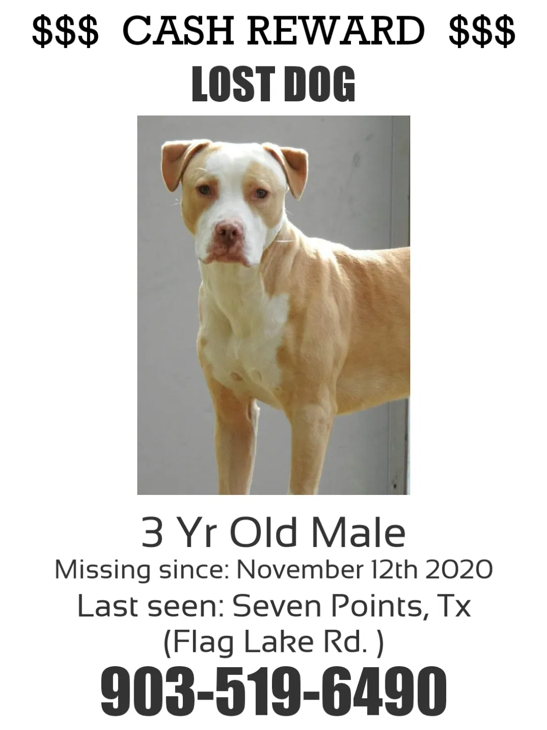 Lost dog in Mabank, TX, 75156