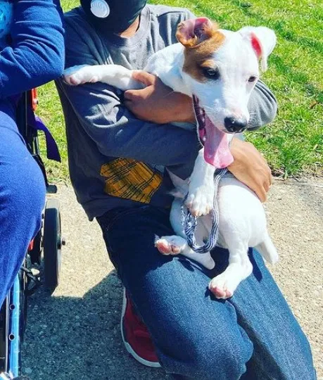 Lost dog in Lansing, MI, 48917