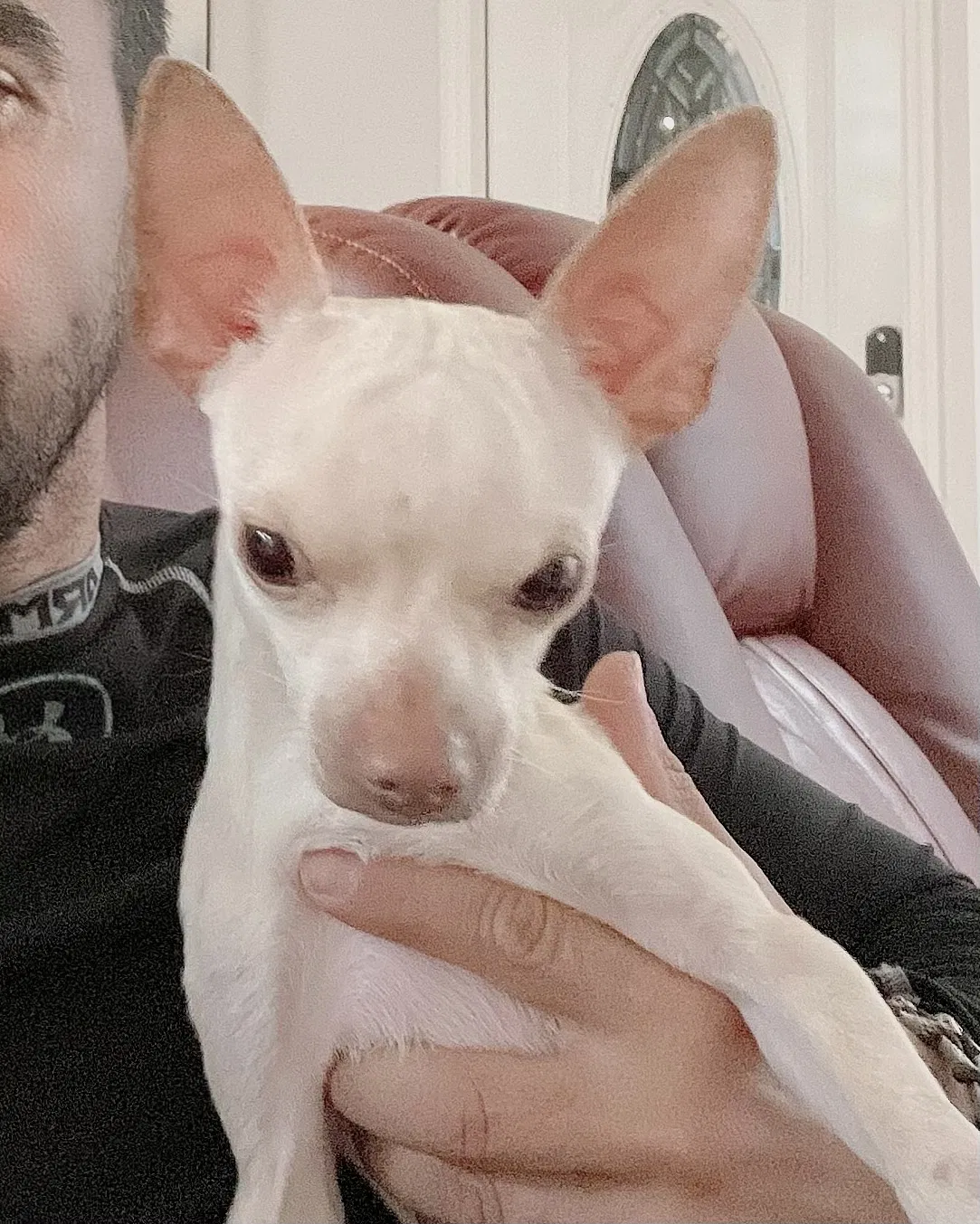 Lost dog in Lehigh Acres, FL, 33971