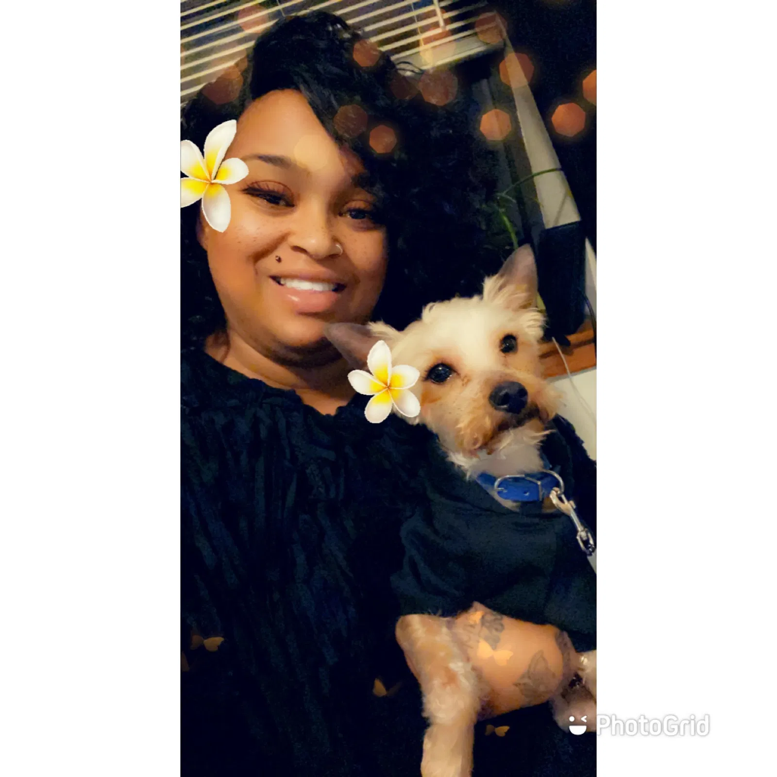Lost dog in Glen Burnie, MD, 21061