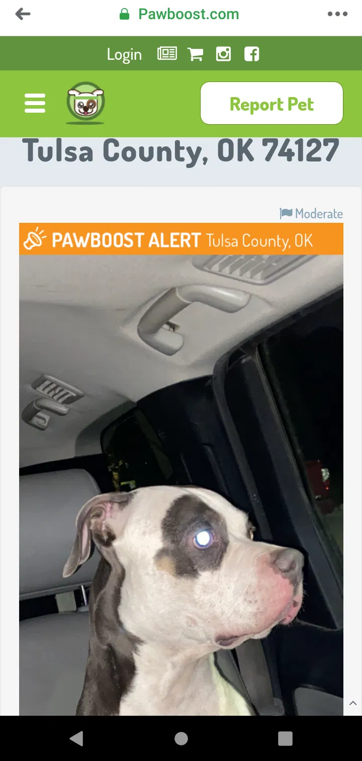 Lost dog in Tulsa, OK, 74127