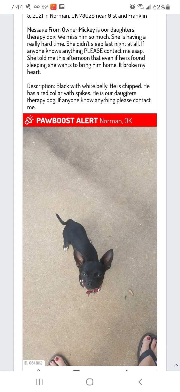 Lost dog in Norman, OK, 73026