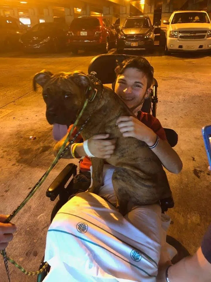 Lost dog in Lincolnton, NC, 28092