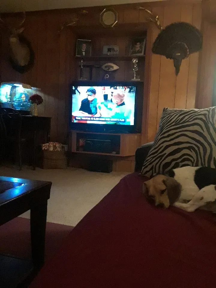 Lost dog in Chesapeake, VA, 23321