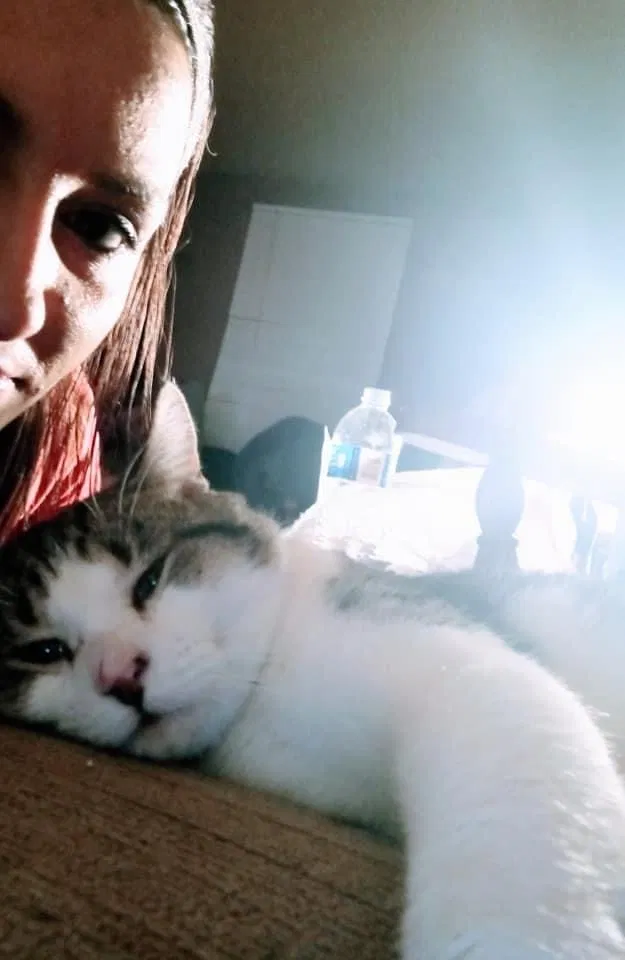 Lost cat in Marion, IN, 46953