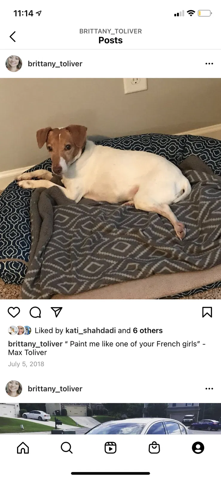 Lost dog in Cumming, GA, 30028