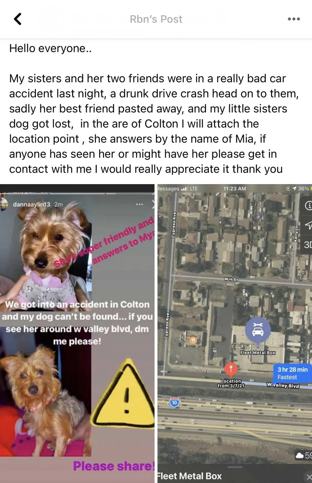 Lost dog in Colton, CA, 92324