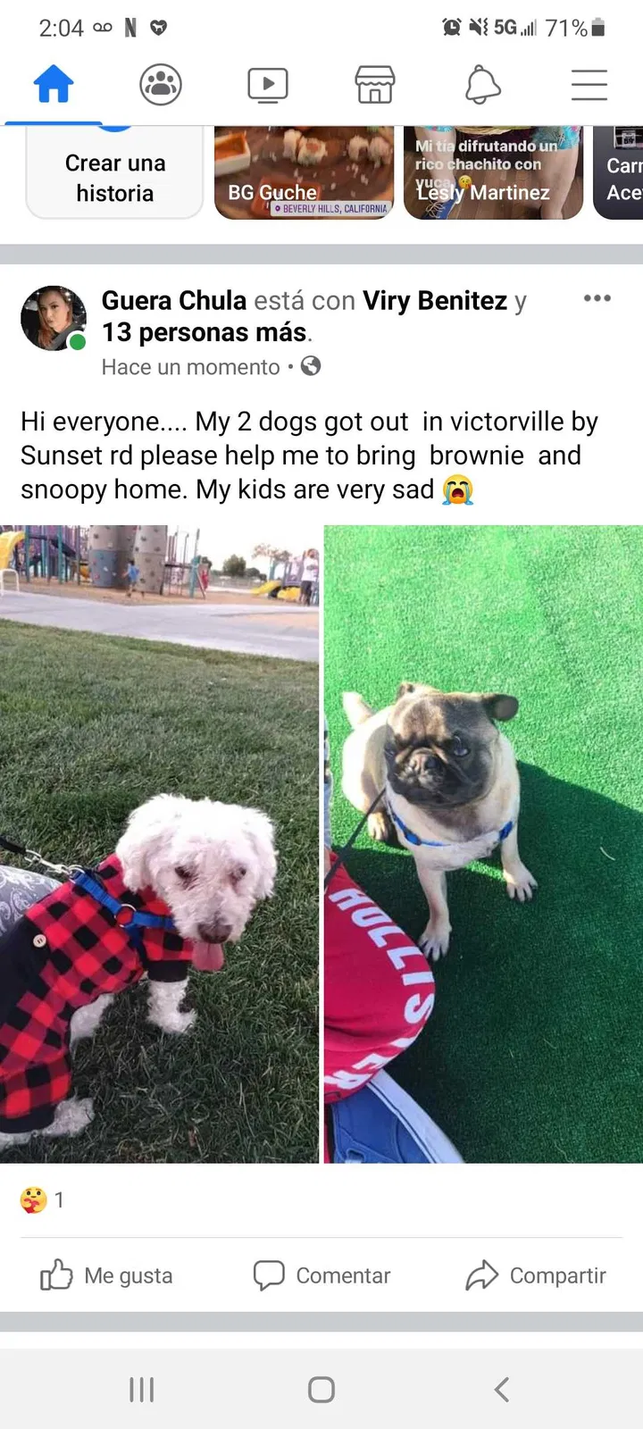Lost dog in Victorville, CA, 92392
