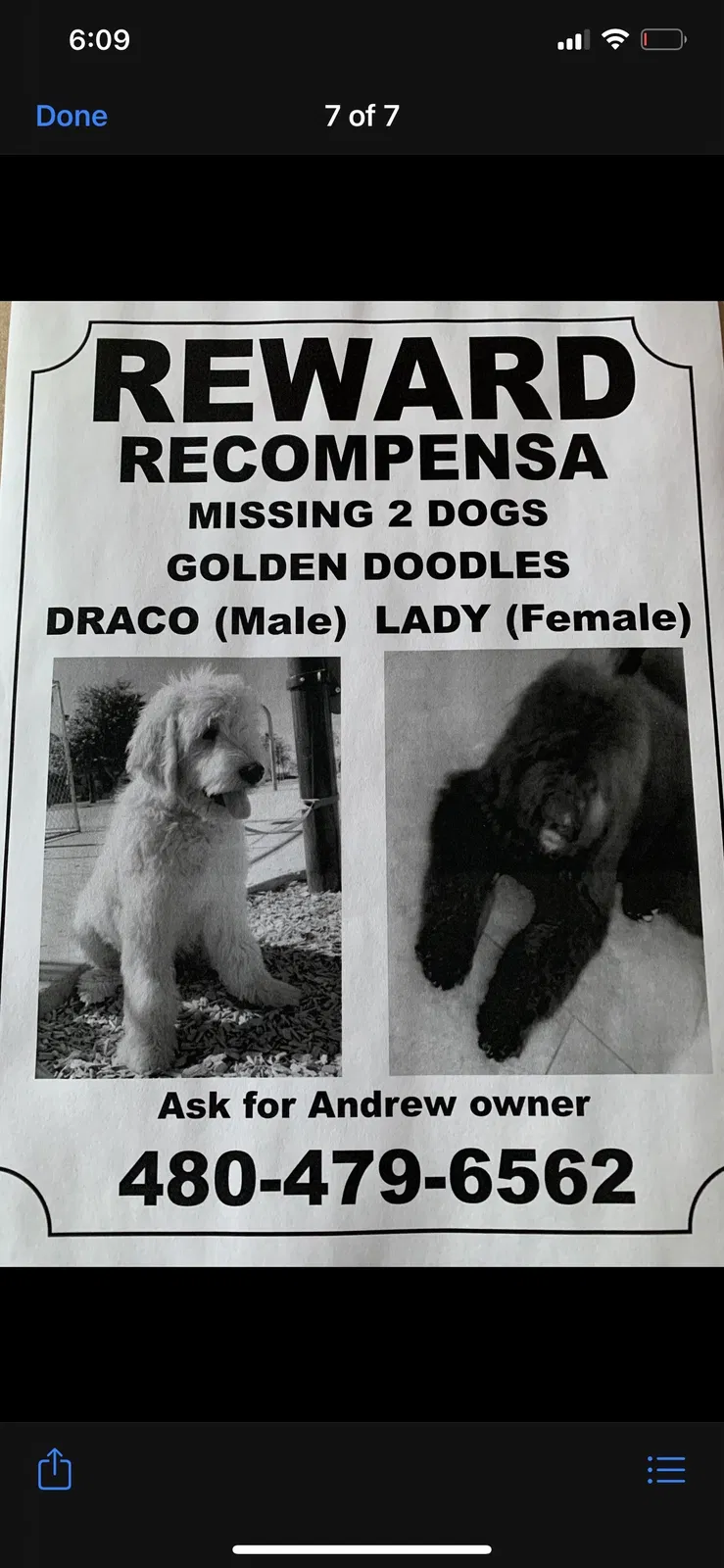 Lost dog in Phoenix, AZ, 85041