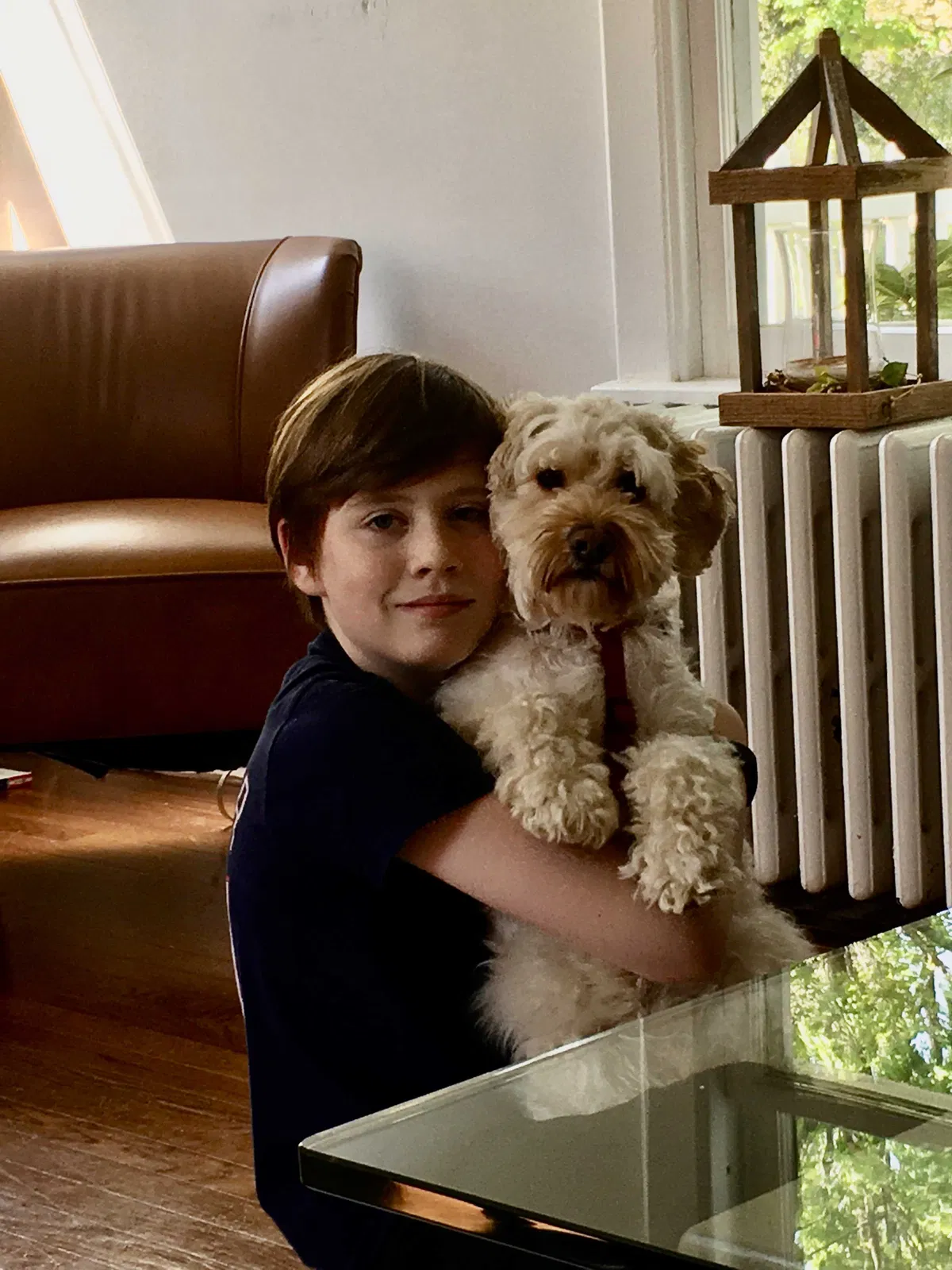 Lost dog in Upperville, VA, 20184